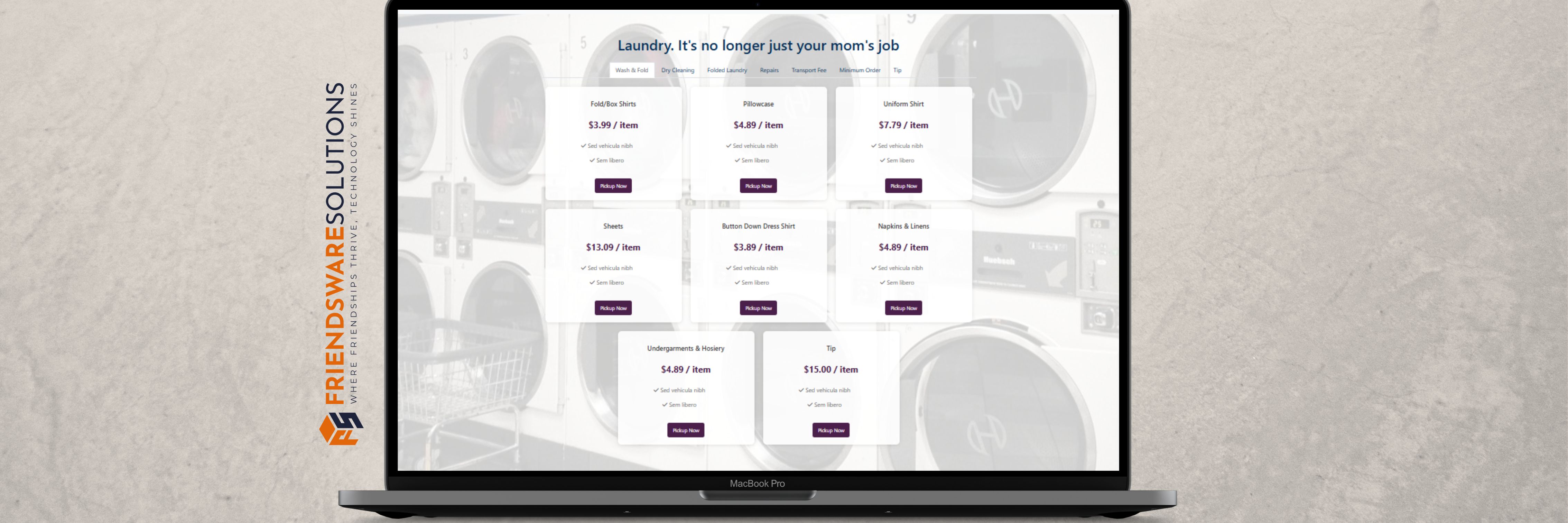 About Professional Laundry Service